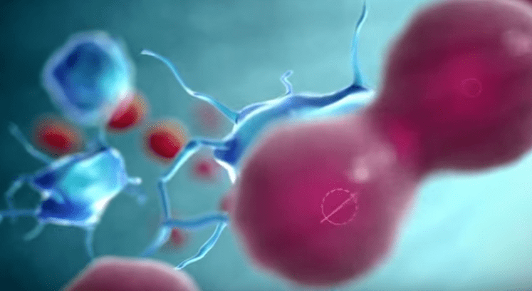 Stymulacja immunologiczna