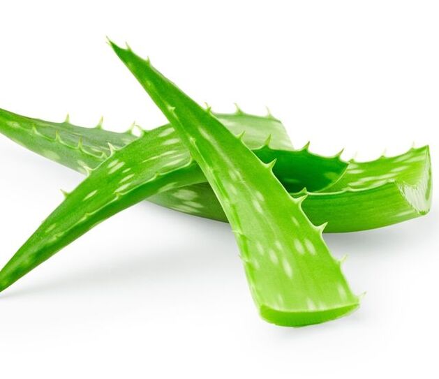 Aloes w leczeniu brodawczaków